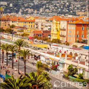 Cannes Logo