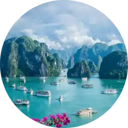 Vietnam Logo